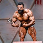 mohammed ali bagshi