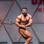 mohammed ali bagshi